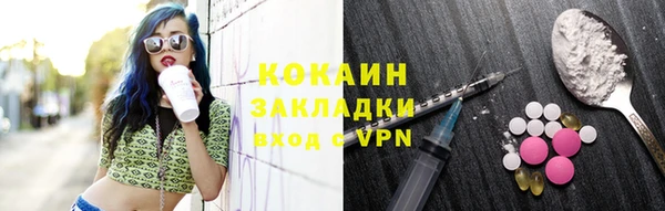 твердый Заводоуковск