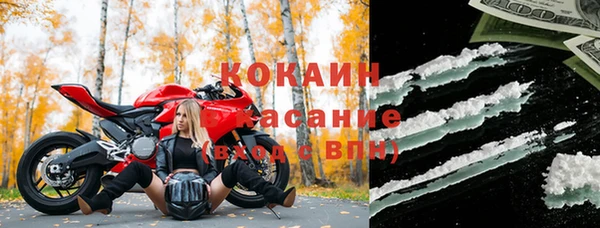 твердый Заводоуковск