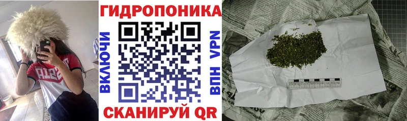 Бошки марихуана ГИДРОПОН Прокопьевск